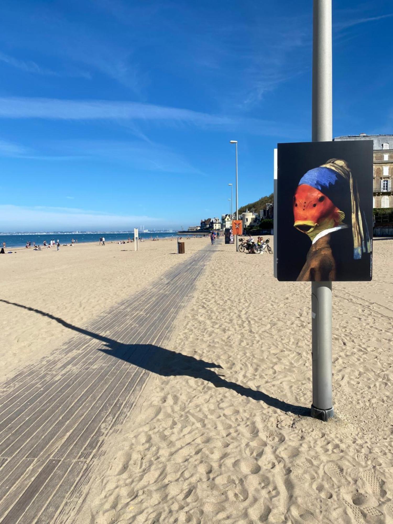 Cote Plage - Magnifique Appartement De Charme A Trouville Sur Mer - Linge - Lit Fait - Parking - Wifi - Classe Par L'Office Du Tourisme Exterior foto